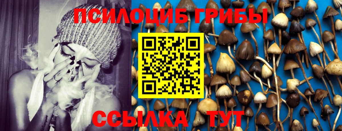 Псилоцибиновые грибы GOLDEN TEACHER Избербаш