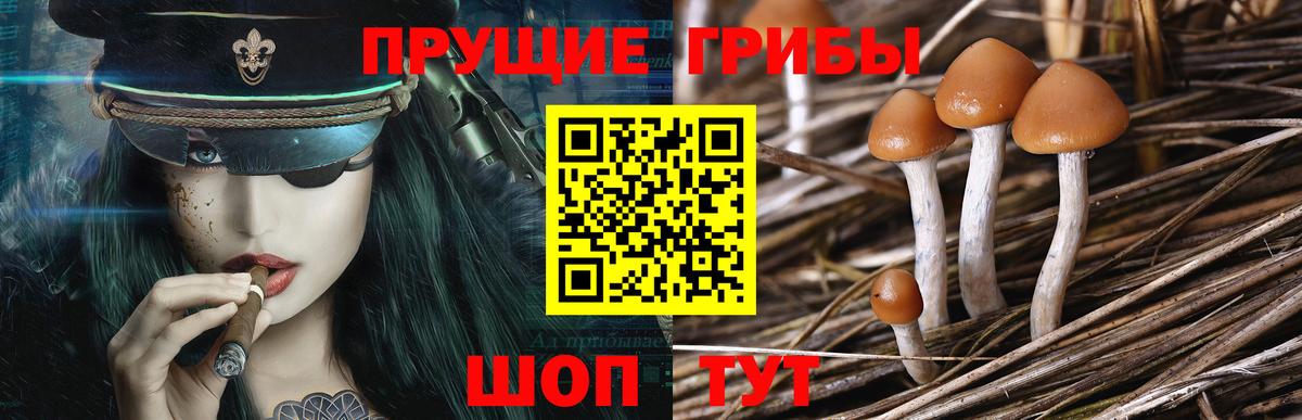 Галлюциногенные грибы ЛСД  Вход с VPN  Избербаш 